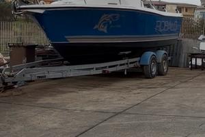Robalo Americano