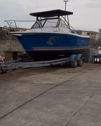 Robalo Americano