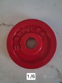 pesi Rovera per Bilanciere 