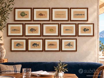 13 quadri con stampe di pesci mare nautica vintage