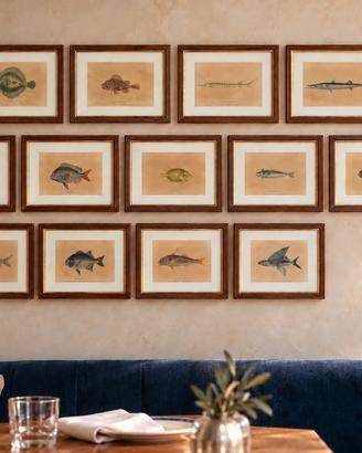 13 quadri con stampe di pesci mare nautica vintage
