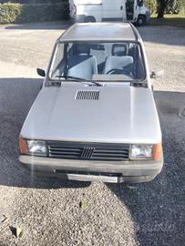Fiat panda young