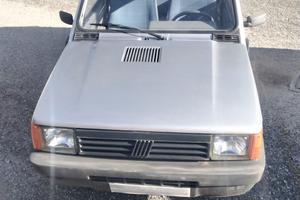 Fiat panda young