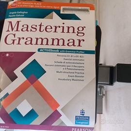 mastering grammar