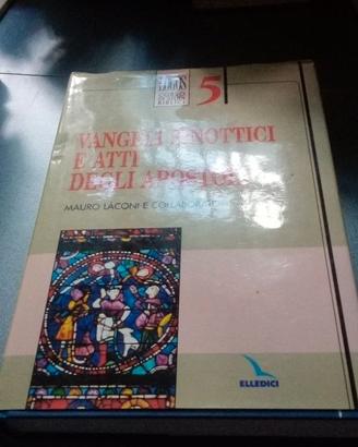 Vangeli sinottici atti apostoli