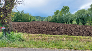 Vendita terreno agricolo