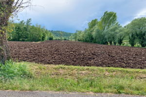 Vendita terreno agricolo