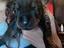 Immagine 2