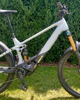Orbea Wild Team