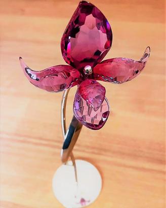 Swarovski, fiore ORCHIDEA DORORA, 2006