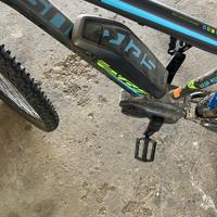 Bicicletta elettrica