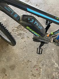 Bicicletta elettrica