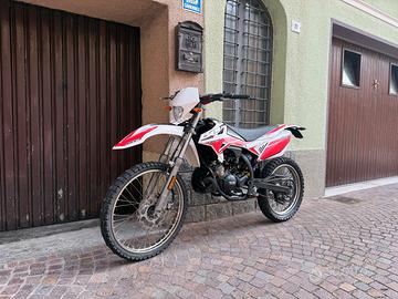 Beta RR 50 2019