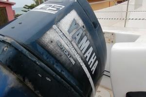 Motore yamaha 25 cv 2t