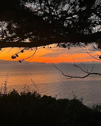 Villa nereidi - panoramica fronte mare