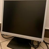 Monitor Nec
