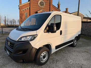 Fiat Ducato CELLA FRIGO