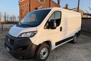 Fiat Ducato CELLA FRIGO