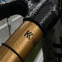 Transition Sentinel 2023