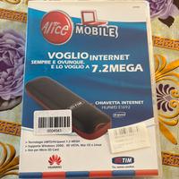 Chiavetta internet huawei e1692