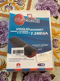 Chiavetta internet huawei e1692