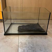 Acquario per tartarughe 