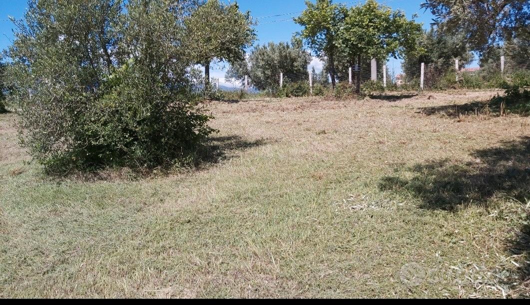 SUOLO EDIFICABILE a RENDE-CS- - Vista 2