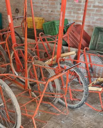 carrelli raccolta frutta