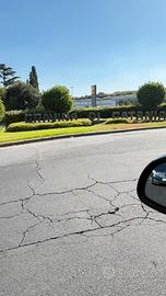 Attività Agenzia scommesse