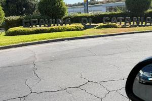 Attività Agenzia scommesse