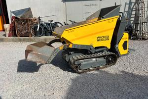 MOTOCARIOLA NEUSON DT05