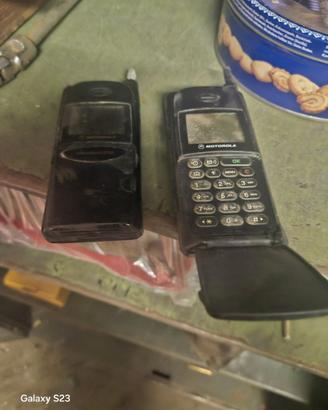 cellulari