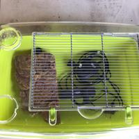 Acquario + accessori