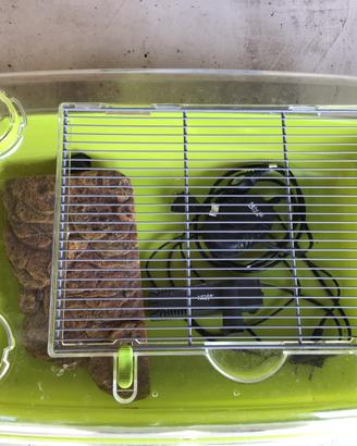 Acquario + accessori