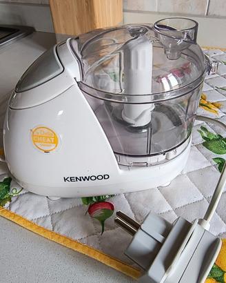 Tritatutto kenwood