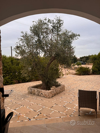 Agriturismo con piscina