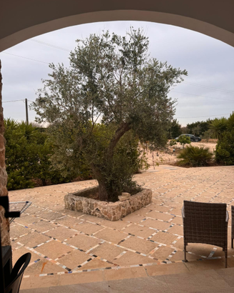 Agriturismo con piscina