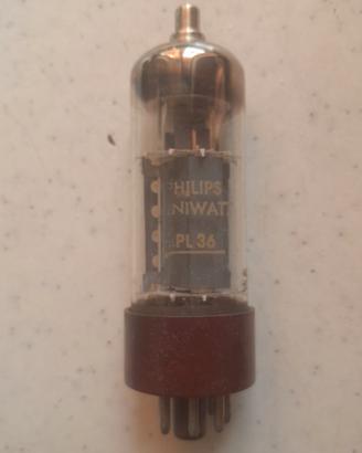 Valvola Termoionica Vintage Philips Miniwatt PL36