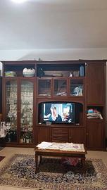 La vetrina 290*240*50