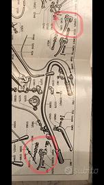 Leva Bedogni olympia olimpia 12369