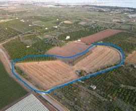 Terreno agricolo