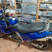 Aprilia Pegaso 650 - 2000