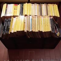 Libri Giallo Mondadori e Segretissimo