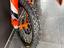 Immagine 11
