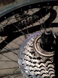 Ruote Mountain bike 26 dischi