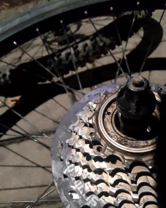 Ruote Mountain bike 26 dischi