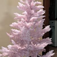 ALBERO E DECORAZIONI NATALIZIE