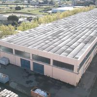 Capannone commerciale a Collesalvetti (LI)