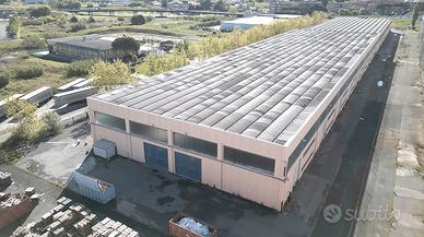 Capannone commerciale a Collesalvetti (LI)
