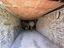 Immagine 29